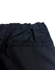 REGS PANT