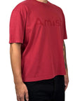 T-SHIRT CROP AMISH JERSEY SHADOW LOGO PIGMENT STONE